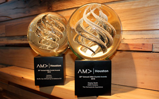 2020年展览赢得了两项2018 AMA水晶奖