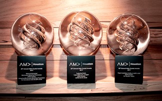 2020年展品荣获三项AMA水晶大奖